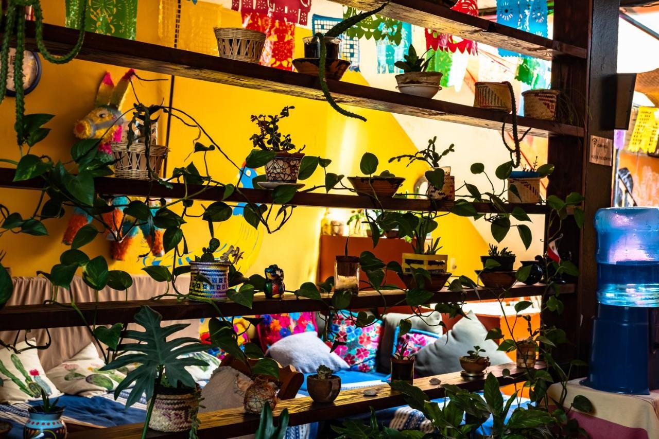 Hostal Pochon Oaxaca ภายนอก รูปภาพ